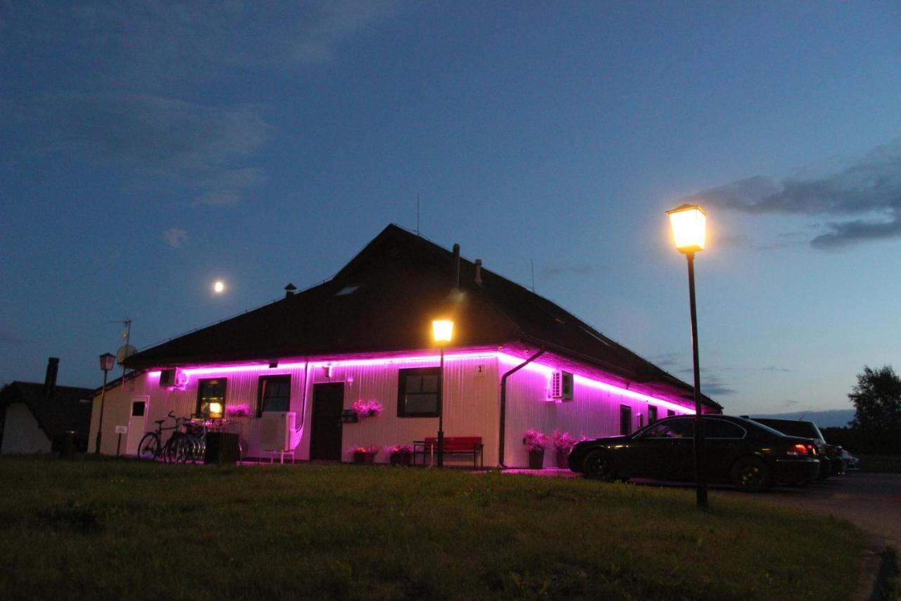 Vila Romnesa Ignalina Extérieur photo